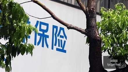 电竞游戏更,全新社交玩,法引爆热议,太阳城官网,官方娱乐平台,娱乐游戏,彩票投注,安全保障,游戏种类